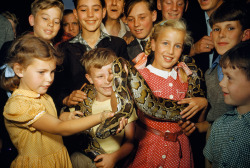 natgeofound:  Children hold an Indian python