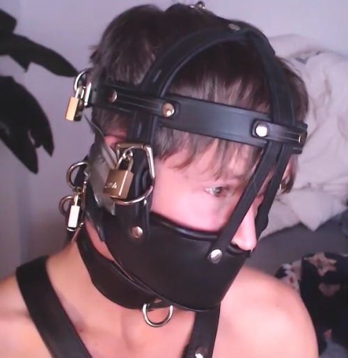 youcanshutmeup: Then duct tape gag him and put the muzzle on real tight.