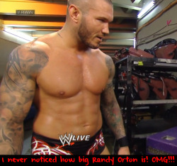 wrestlingssexconfessions:  I never noticed how big Randy Orton is! OMG!!!  I&rsquo;d bet he looks a lot bigger live in person! Well everyone is big compared to me :P