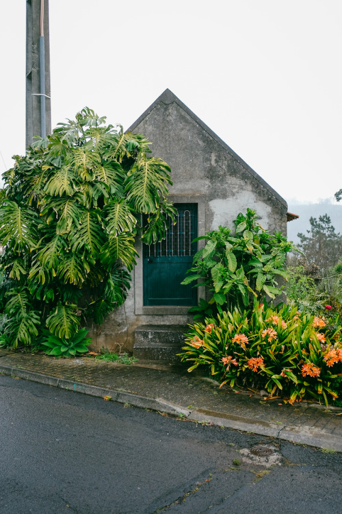 prazeres, madeira.