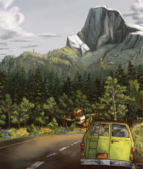 Long Road Ahead
