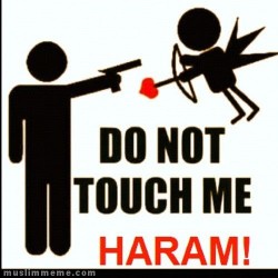 finnmanusia:  kitaislam:  Do not touch me! It’s haram!   Haha!!! Just suitable with today event, Valentines Day!!!(Haram means forbidden)