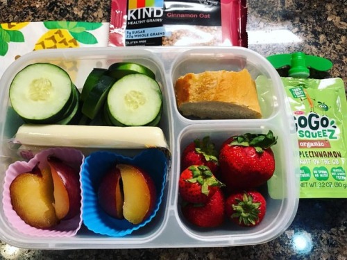 Camp lunch: cucumbers, cheese, plum, strawberries, bread, applesauce and a @kindsnacks bar for snack