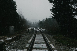 brutalgeneration:  tracks (by Andy Grellmann)