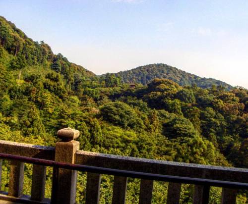 My first time in Kyoto I visited Kiyomizudera temple. Looking over the hills I felt myself as I would come home after centuries of longing. If there is such thing as reincarnation, I used to live here once. Perhaps in Heian era? #Kyoto #Japan...