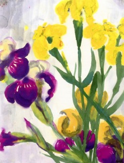 lonequixote:Yellow and Blue Iris ~ Emil Nolde