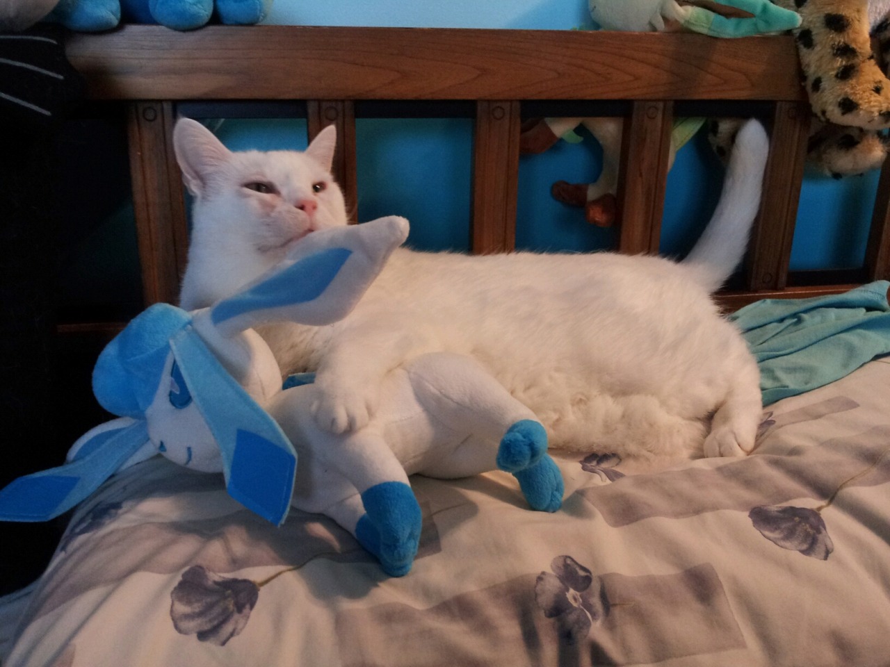 pokemonpalooza:  Just in case you have had a bad day and need photos of a cat cuddling