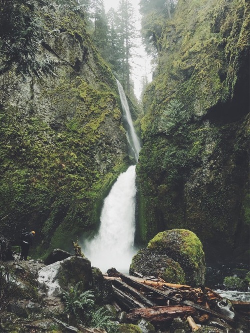 justapplyyourself:Wahclella Falls. Columbia River Gorge.