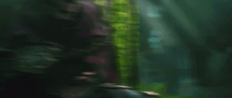 leagueofvictory:  runyoupigeonsitsrobertfrost:  leagueofvictory:  Full ap jungle