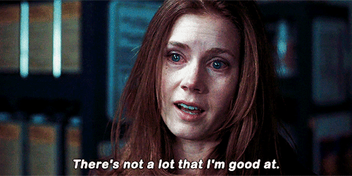 pariztexas:   Sunshine Cleaning (2008) dir. Christine Jeffs