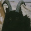 ctadiable