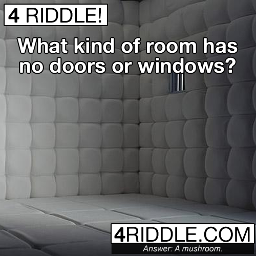 Click Here for more riddles!