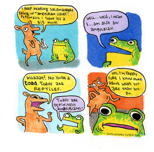 Here are the first few comics from a series I’ve started making about a regular toad.