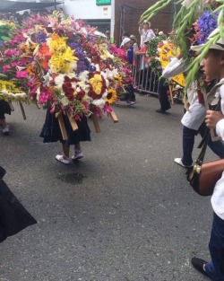 #feriadeflores2017 #desfiledelossilleteros