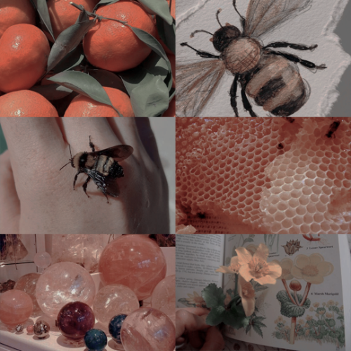 unspectacular-but-always-human: sproutaesthetics: witchcraft | BEE WITCHES bee witches use the power