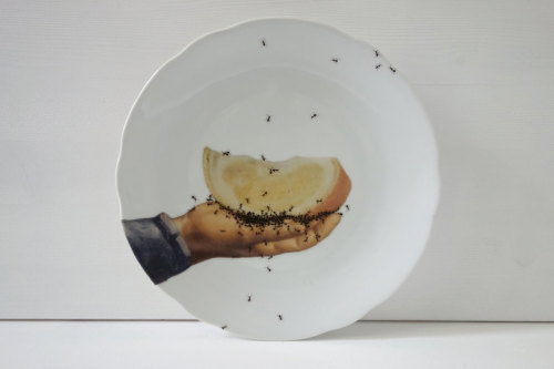 asylum-art:  Porcelain pieces that are infested with hand-painted ants by artistLa Philie  on Etsy German artist Evelyn Bracklow of La Philie decided to combine the elegance of vintage porcelain with the grossness of a horde of ants in a series she calls