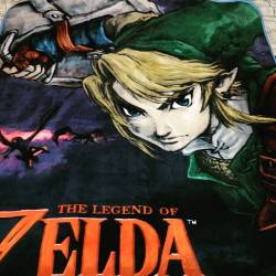 @formicida knows me well! Love it! #thelegendofzelda