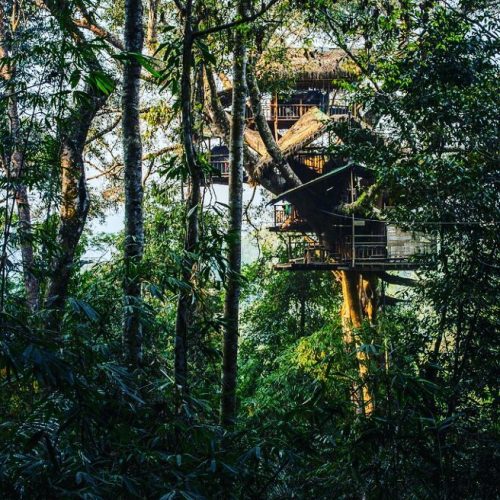 utwo: rain forest Ttreehouse © The Gibbon Experience 