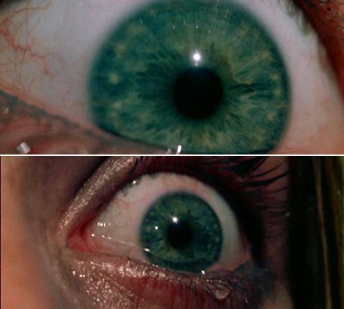 petschm66: Don’t Open That Door (1974) directed by Tobe Hooper