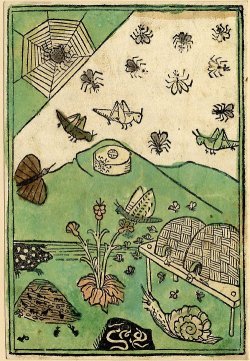 transparentoctopus:  Cunrat von Megenberg, buch der natur 1475