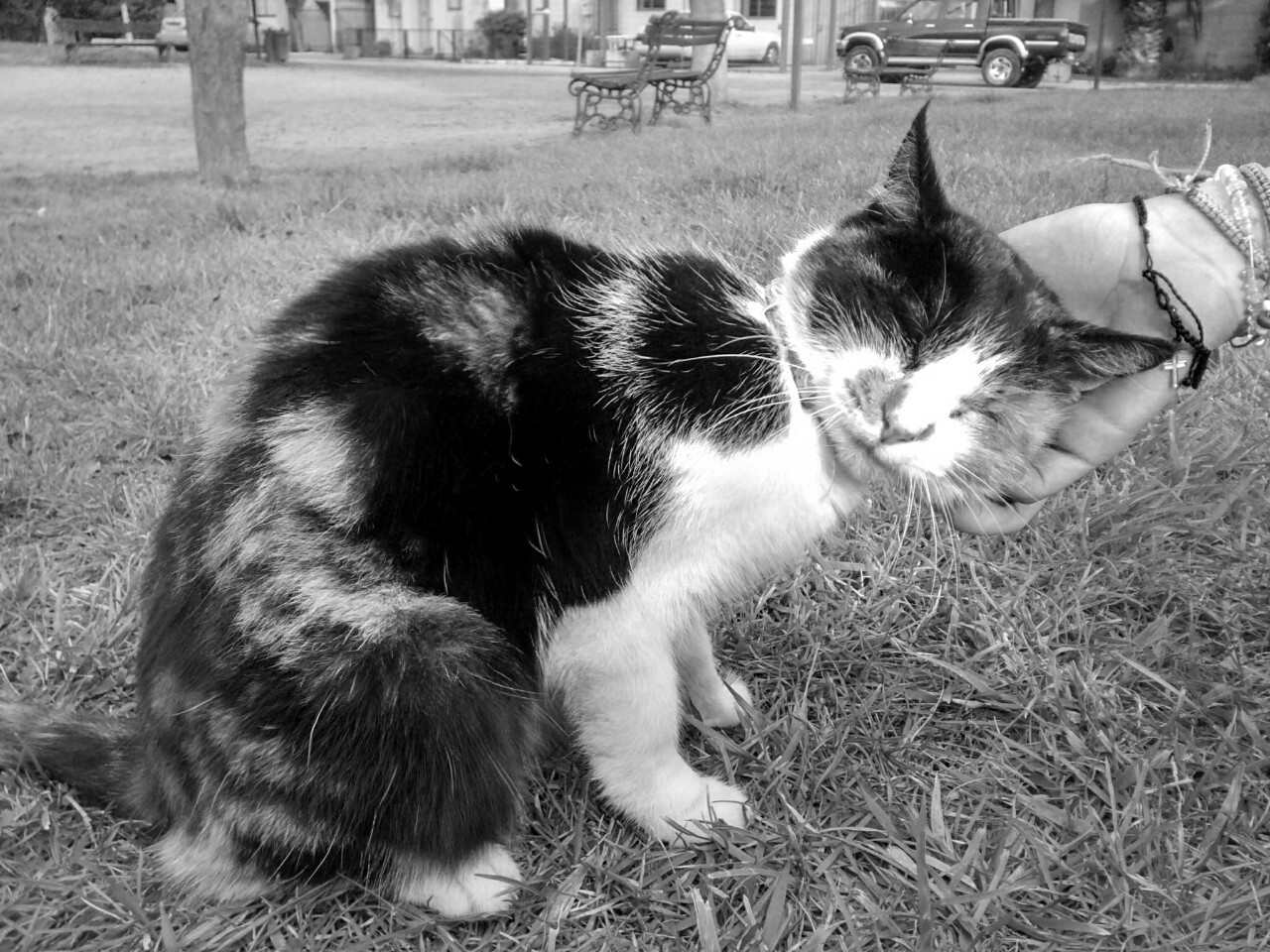28th-dec:  b&amp;w blog ♡