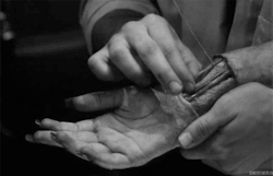 cerebrodigital:  De esta manera funcionan los tendones en la mano.