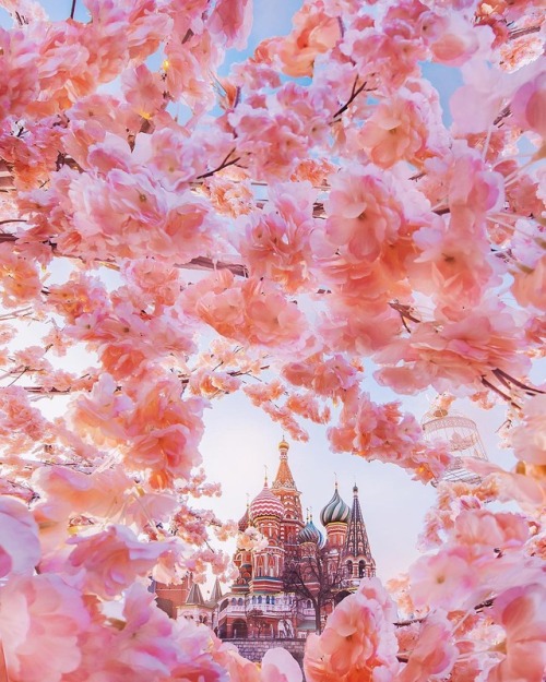 andantegrazioso:  Spring in Paris and Moscow |  hobopeeba  