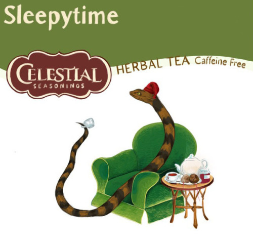 william-snekspeare: dib-illustration: Illustration prompt Sleepytime herbal tea bear. But as a snake