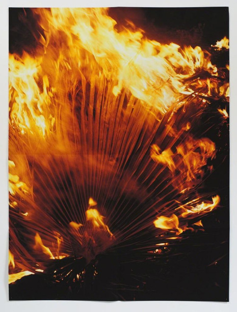 withoutyourwalls:Jack Pierson, Burning Palm Fronds, 2010