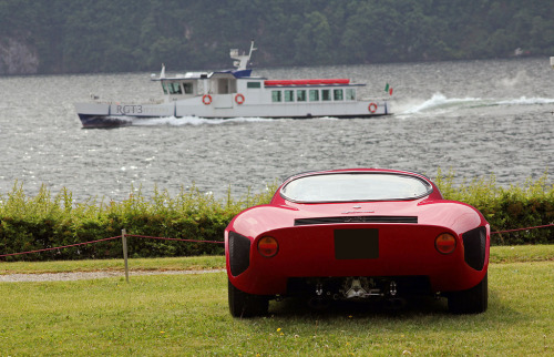 Starring: Alfa Romeo Tipo 33 Stradale by Romain Drapri