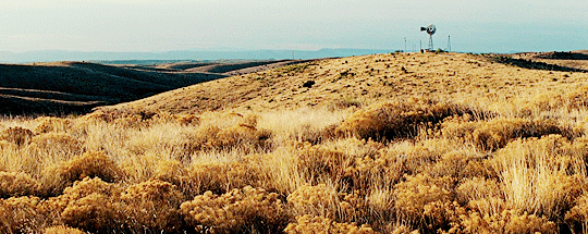 filminfinity:   No Country For Old Men (2007)           Directed by Joel &amp;