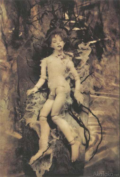 akatako:  from “Misericordia&ldquo; postcard setby Koitsukihime