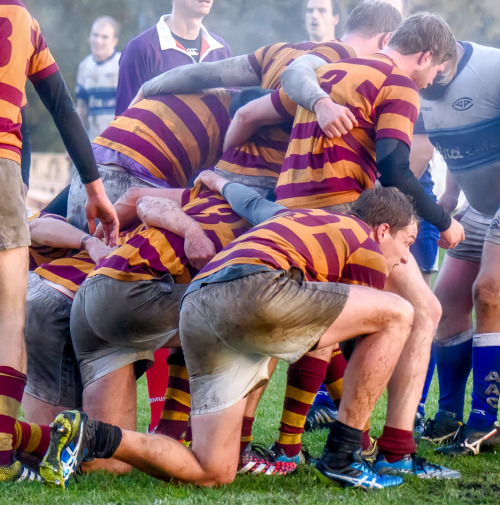 roscoe66:  The Joy of Scrums