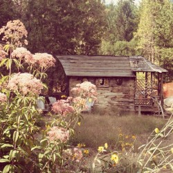 sunflower-mama:  🌸home is where the heart is  Instagram: @soulflower.mama (at Breitenbush Hotsprings)