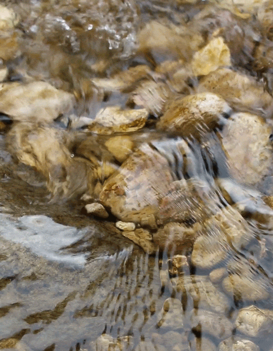 Riverwind Photography Empty Your Mind Be Formless Shapeless Like