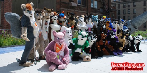 Fursuiting.com group photo at AC 2013!