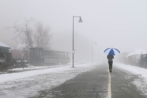 Fog And The Rain | Eastern Promenade | East End