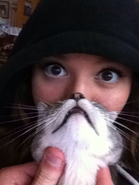 cute-overload:  Cat faceshttp://cute-overload.tumblr.com