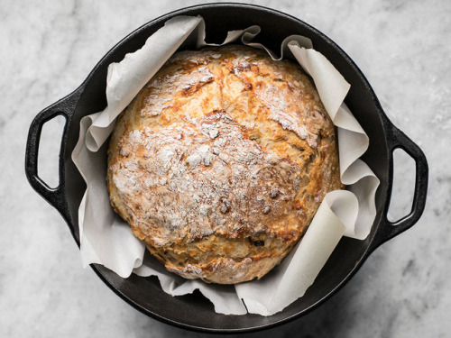 foodffs:TOMATO BASIL NO KNEAD BREADFollow for recipesGet your FoodFfs stuff here