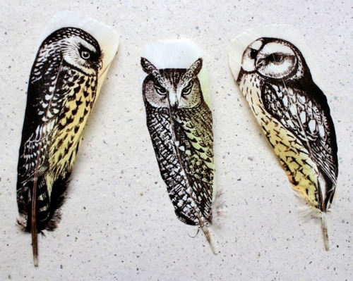 fer1972: Amazing Drawings on Feathers by Rebecca Jewell