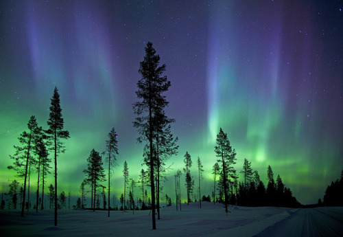 kiruna aurora by antonyspencer on Flickr.