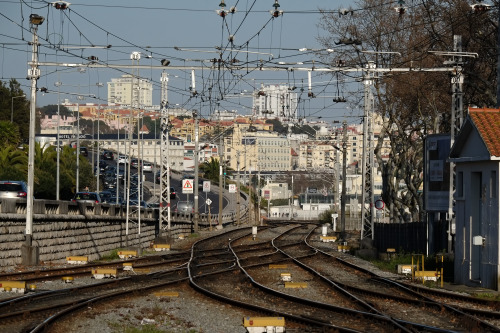 Porn scavengedluxury:  Tracks. Cascais, March photos