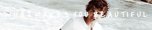kidrhauls:  Liam Payne | Music Videos     