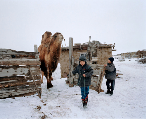 Laurent Weyl / Argos - Kokaral: Life restakes its claim (Kazakhstan)*I know the photo-series is supp