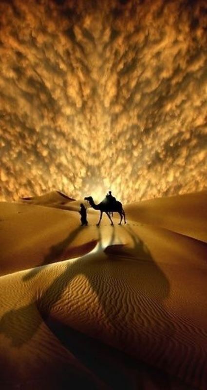 hardsadness:  Fonte: Pinterest
