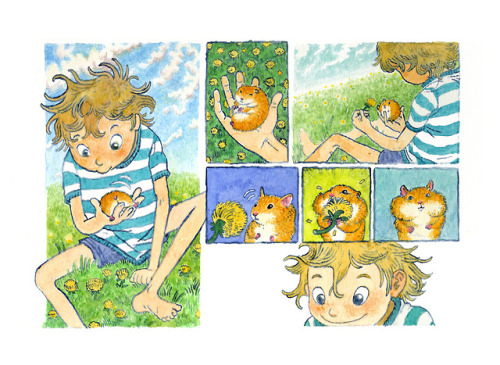 maroonracoon: hamster