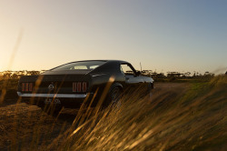 automotivated:  Larkin Mustang by JP Dyno