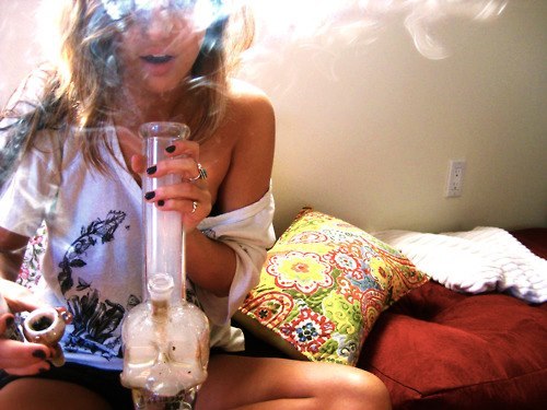 tabacariaweeds420:  TABACARIA WEEDS 420