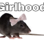 southingspecialong