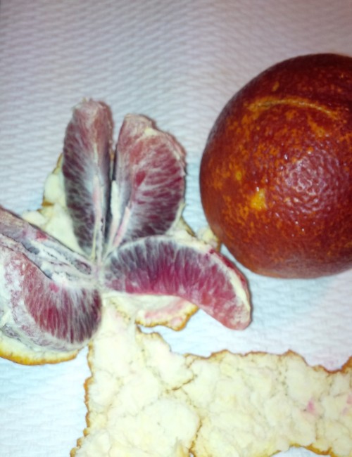 I’m obsessed with blood oranges. 